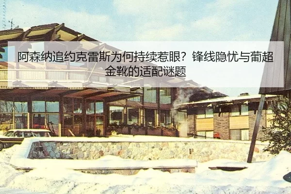 a-sen-na-zhui-yue-ke-lei-si-wei-he-chi-xu-re-yan-feng-xian-yin-you-yu-pu-chao-jin-xue-de-shi-pei-mi-ti-2-477.jpg